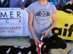 2019_ausstellung polling_646